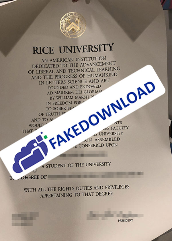 Rice download fake Fake Sample