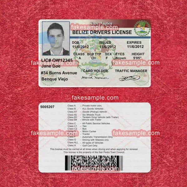 Belize Driver Licence Fake Template