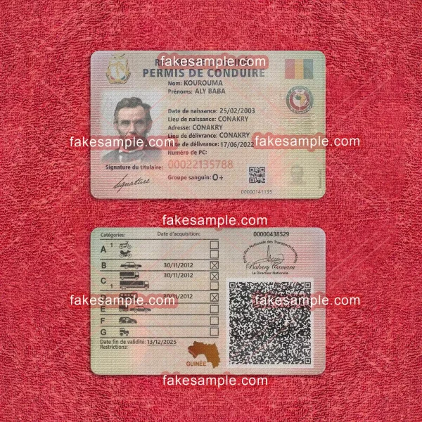 Guinea Driver Licence Fake Template