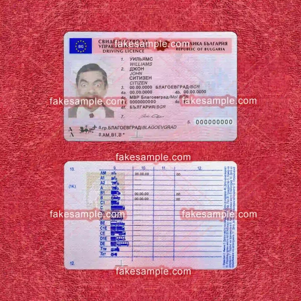 Bulgaria Driver Licence Fake Template