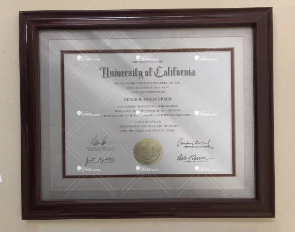 UC Berkeley University Certificate Fake Template