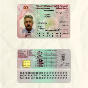 Algeria driver license psd fake template