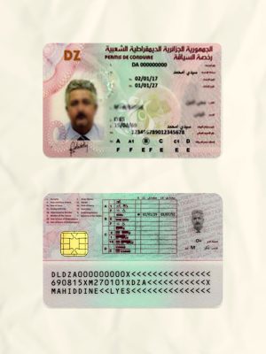 Algeria driver license psd fake template