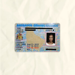 Barbados driver license psd fake template