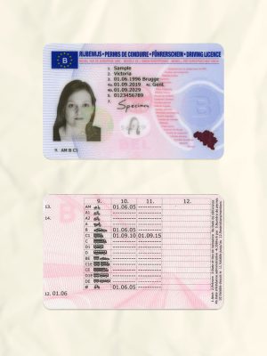 Belgium driver license psd fake template