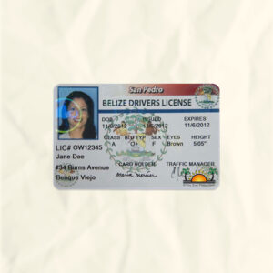 Belize driver license psd fake template