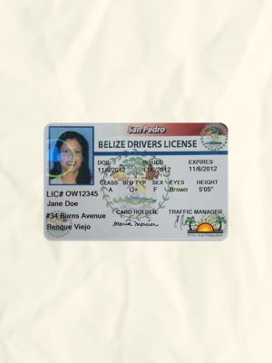 Belize driver license psd fake template