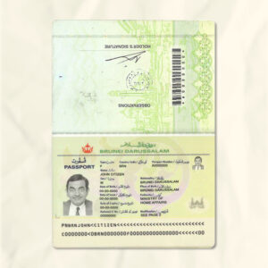 Brunei passport fake template