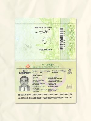 Brunei passport fake template