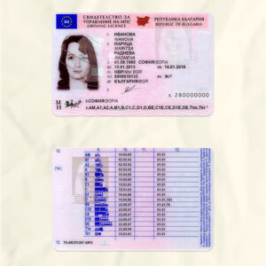Bulgaria driver license psd fake template