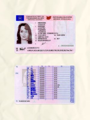 Bulgaria driver license psd fake template