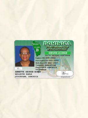 Dominica driver license psd fake template