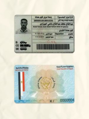 Egypt driver license psd fake template