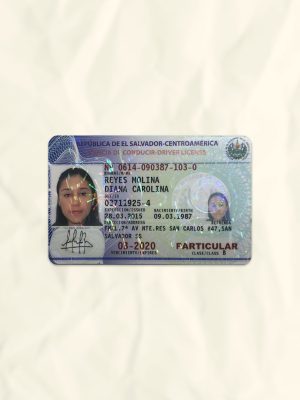 El Salvador driver license psd fake template