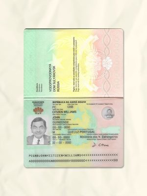 Guinea passport fake template