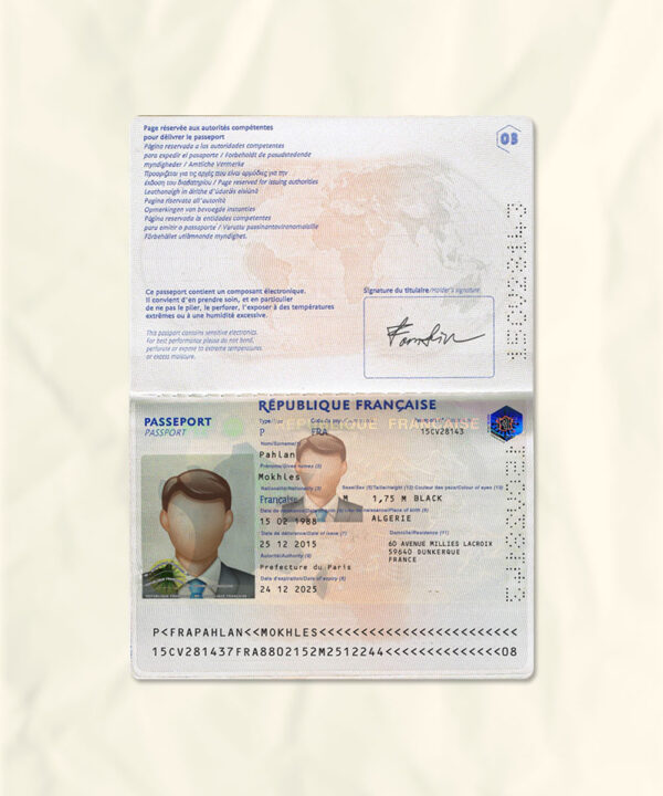 France passport fake template