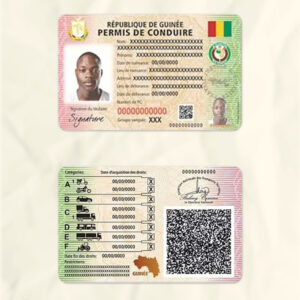 Guinea driver license psd fake template