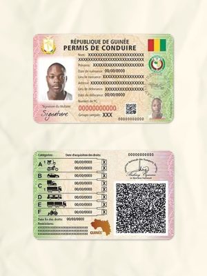 Guinea driver license psd fake template