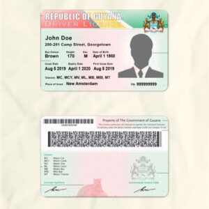 Guyana driver license psd fake template