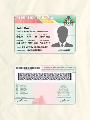 Guyana driver license psd fake template