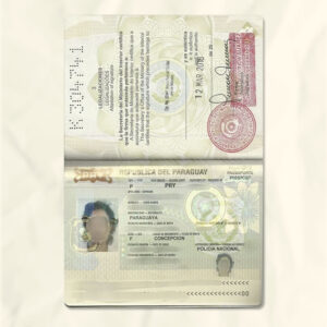Paraguay passport fake template