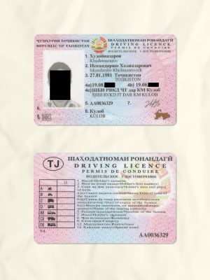 Tajikistan driver license psd fake template