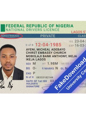 Niger driver license psd fake template