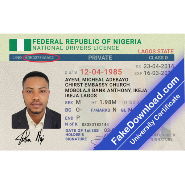 Niger driver license psd fake template