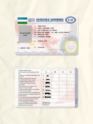 Uzbekistan driver license psd fake template