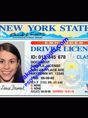 America driver license psd fake template