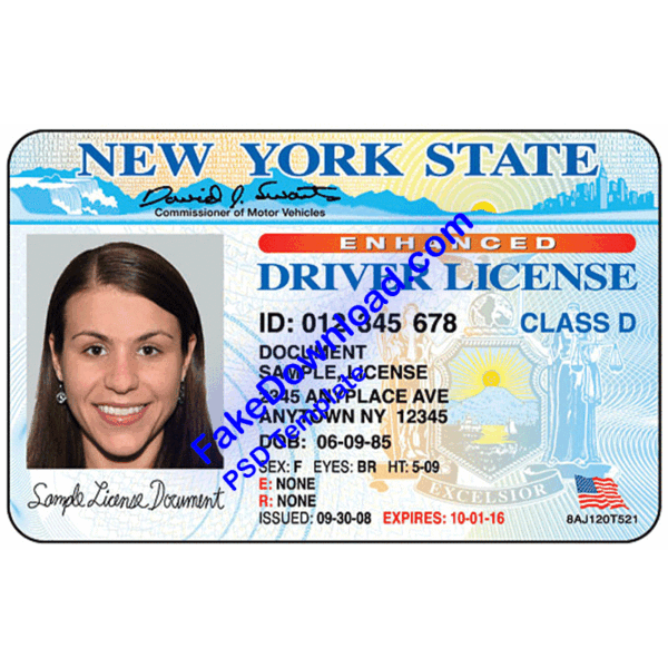America driver license psd fake template