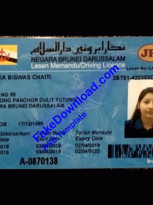 Brunei driver license psd fake template