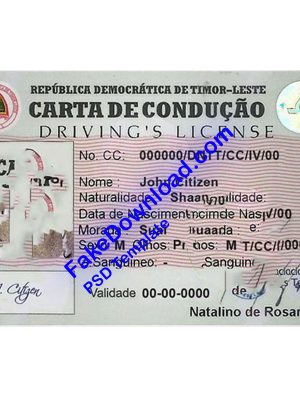 Timor-Leste driver license psd fake template