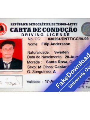 Timor driver license psd fake template