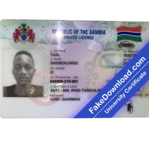 Gambia driver license psd fake template
