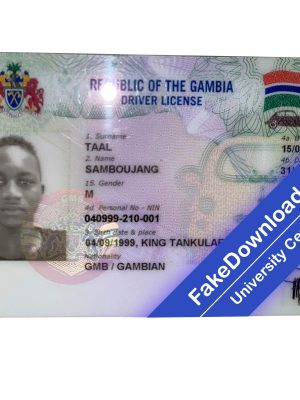 Gambia driver license psd fake template