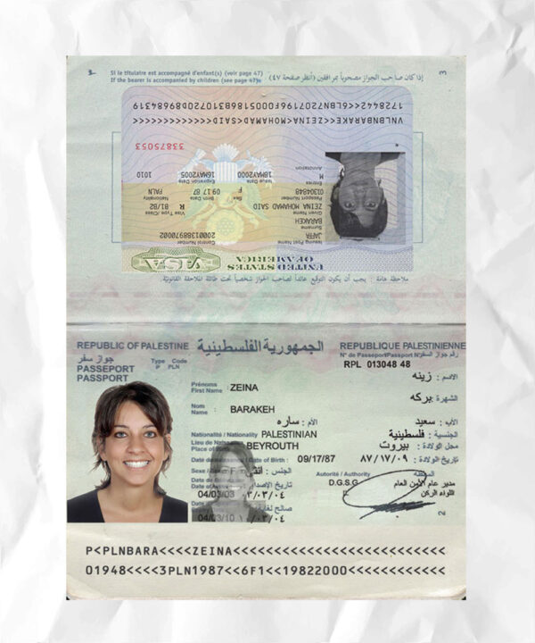 Palestine passport fake template psd