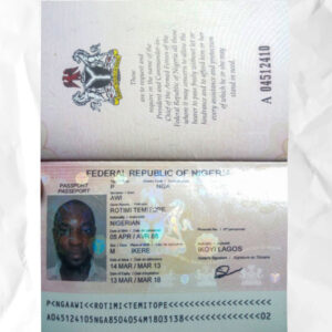 Niger passport fake template psd