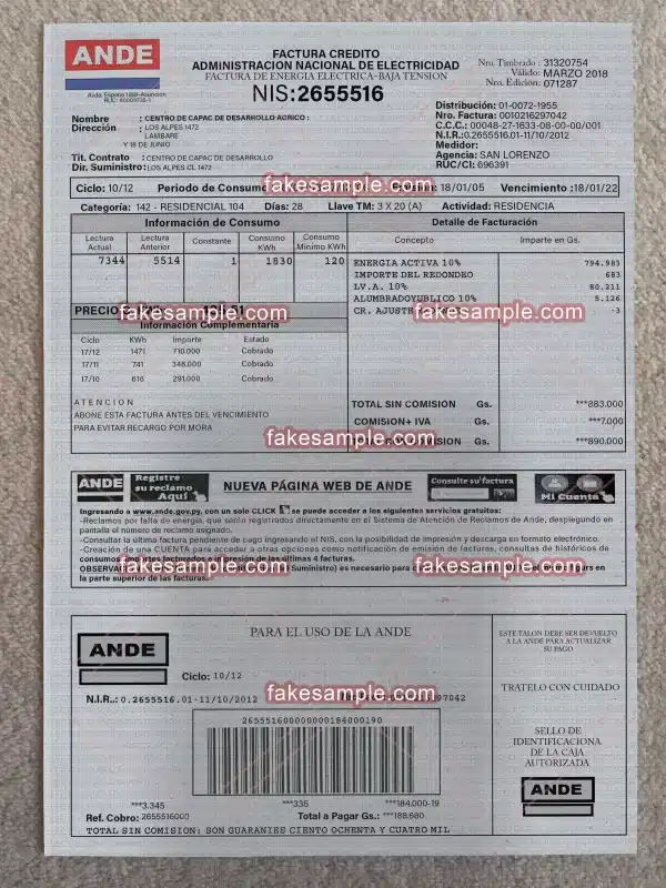 Paraguay Utility Bill Fake Template