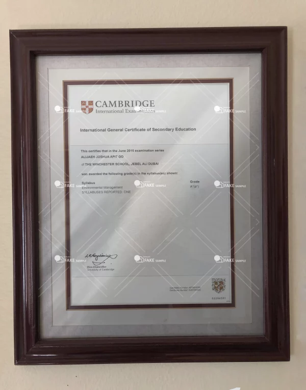 Cambridge University (General Certificate of Education + Transcript)