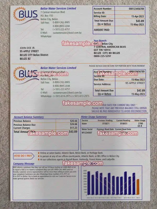 Belize Utility Bill Fake Template