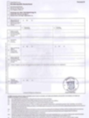 marriage-certificate-international-form copy