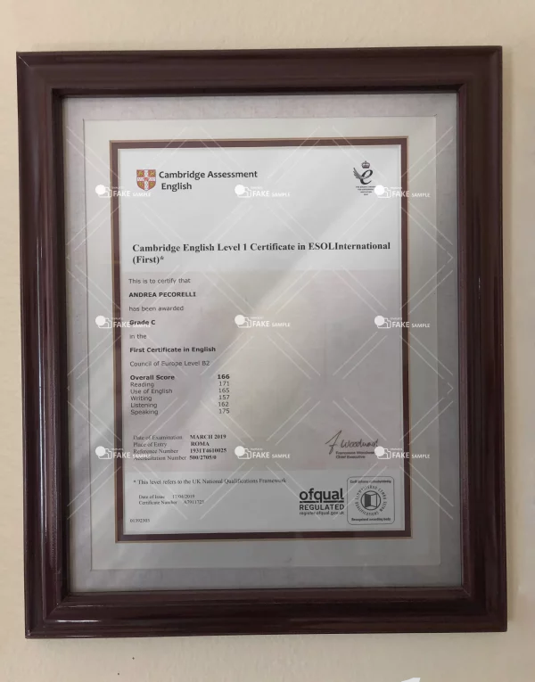 Cambridge Delta QCF Diploma Certificate Fake Template