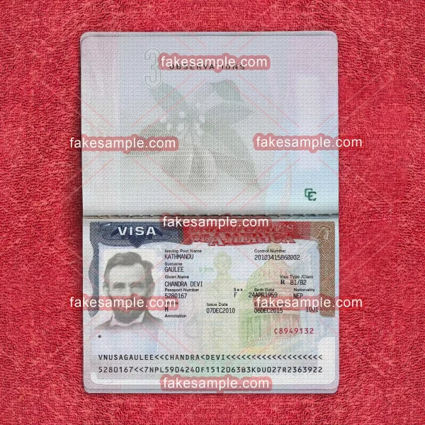 United States of America (USA) Visa Sticker Fake Template