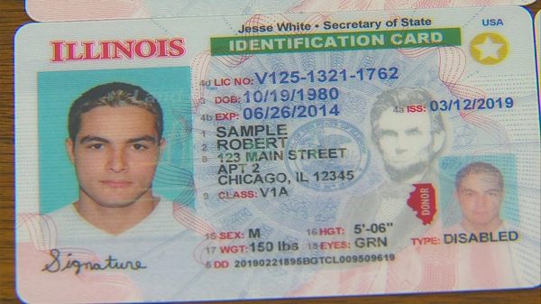 Illinois National ID Card Fake Template