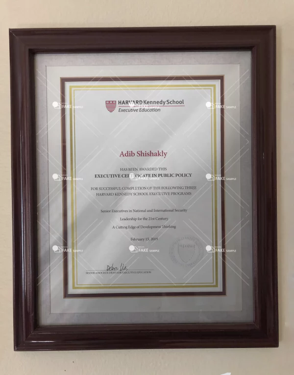 Harvard Kennedy School Executives Certificate Fake Template