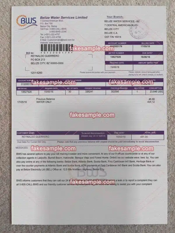 Belize (Version 1) Utility Bill Fake Template