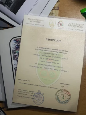 Diploma Certificate