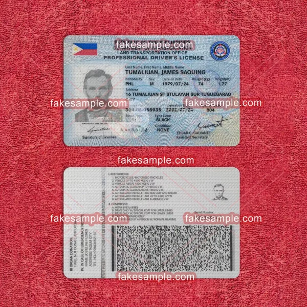 Philippines (Version 2) Driver license Fake Template